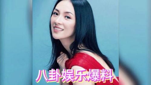 娱乐吃瓜酱八卦,揭秘明星幕后故事与八卦真相