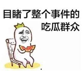 娱乐吃瓜君吐槽刘二豆,从萌宠主播到神秘失踪，真相成谜引网友热议