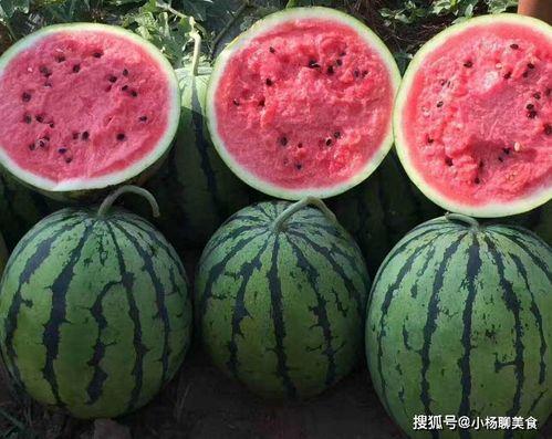 穿越到娱乐圈获得吃瓜系统,吃瓜系统助我逆袭成顶流