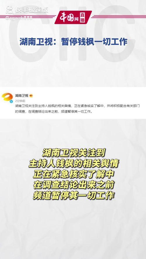 吃瓜娱乐小说免费阅读,娱乐圈吃瓜指南免费畅读