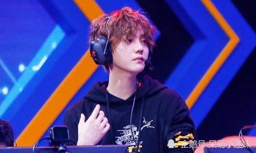 鹿晗娱乐圈吃瓜,从绯闻到争议，流量明星的隐私与舆论风暴