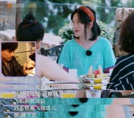 娱乐吃瓜酱浪漫式陷阱,从浪漫吃瓜到真相陷阱的奇幻旅程