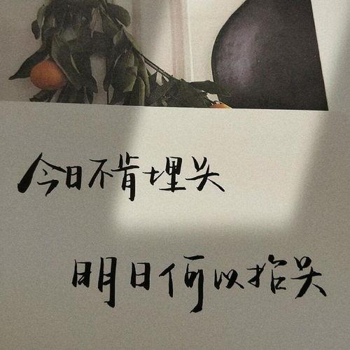 娱乐吃瓜酱励志文案图片,从吃瓜到追梦，她用行动诠释了青春的力量
