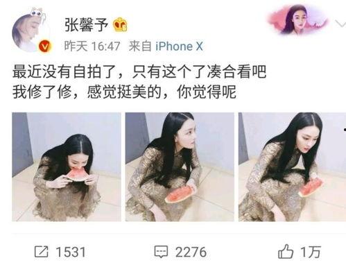 娱乐圈吃瓜被证实的小说,从吃瓜到真相的蜕变之旅