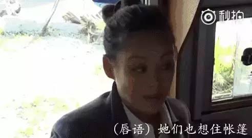娱乐圈互相吃瓜的是谁,揭秘明星间的神秘互动