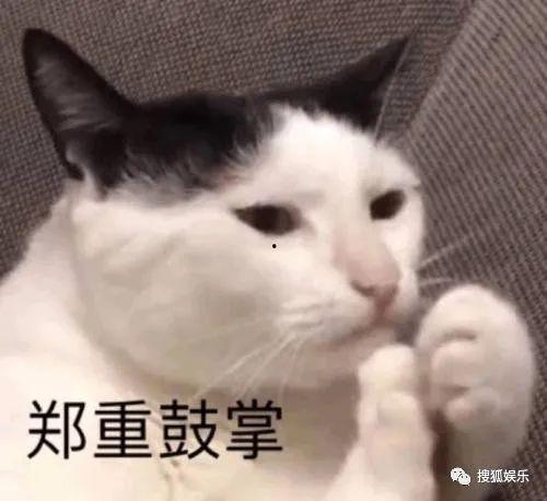 娱乐吃瓜酱不如猫,揭秘娱乐圈幕后真相