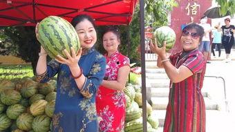 娱乐吃瓜吃不停,吃瓜不停，揭秘明星幕后故事