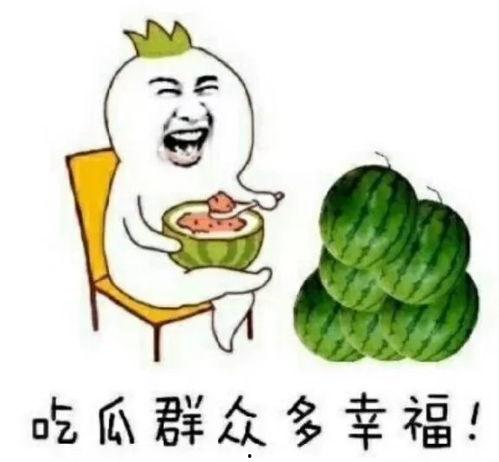 娱乐圈吃瓜是什么,揭秘明星背后的故事与真相