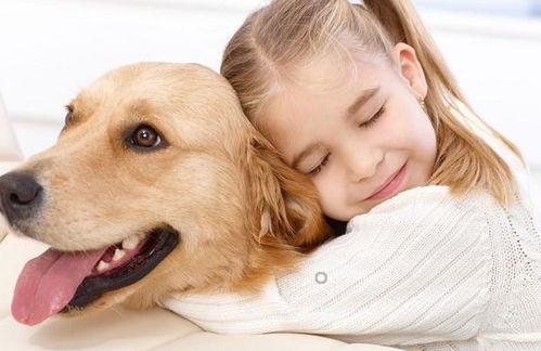 娱乐吃瓜酱狗狗,揭秘娱乐圈的萌宠生活