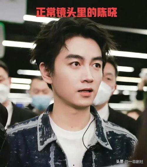 娱乐圈明星吃瓜介绍,揭秘明星背后的故事与真相